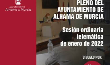 Convocatoria de Pleno: sesión ordinaria telemática » martes 25 de enero de 2022