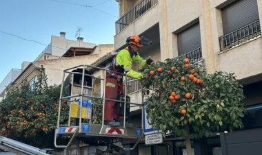 La empresa Eulen, encargada del servicio de limpieza, conservación y mantenimiento de nuestras zonas verdes y arbolado urbano.