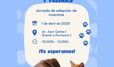 Campaña gratuita de adopciones