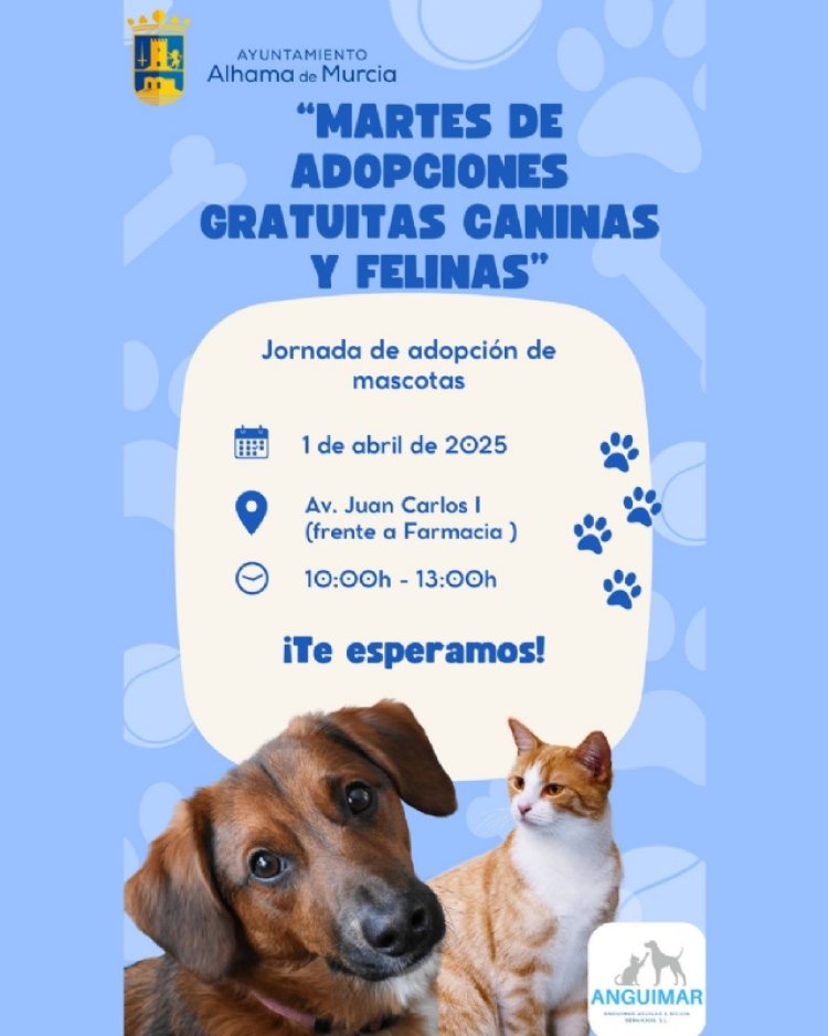 Campaña gratuita de adopciones