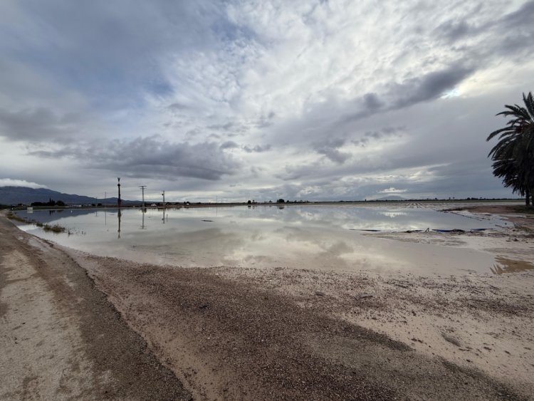 El Consistorio solicta al Gobierno de España la declaración de zona afectada gravemente por una emergencia de protección civil