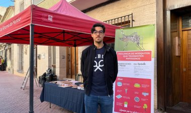 El Ayuntamiento activa una campaña contra el mosquito tigre hasta diciembre para frenar su proliferación