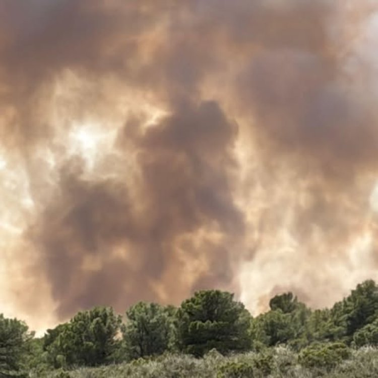 Impuestos o barbarie, aunque lamentablemente muchos eligen barbarie (Artículo de Antonio García Martínez)